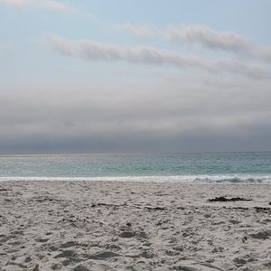 Meet your Posher, Sav